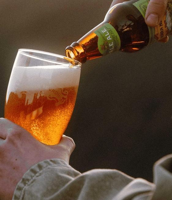 a person pouring a sierra nevada beer into a pint glass