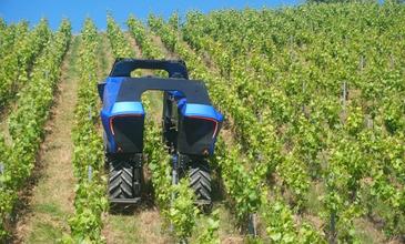 The Right Robot for Every Vineyard Job