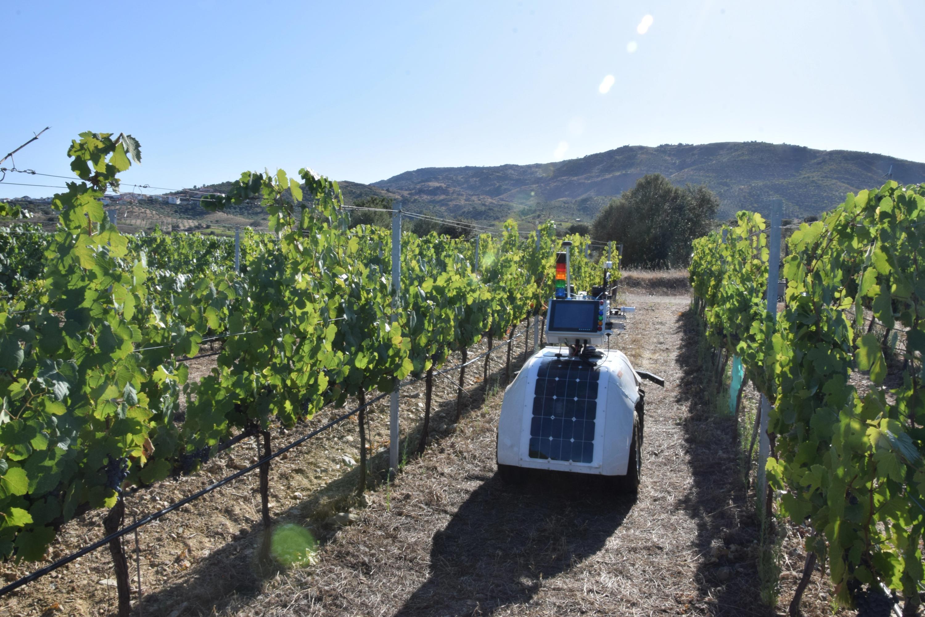 The Right Robot for Every Vineyard Job GOFAR