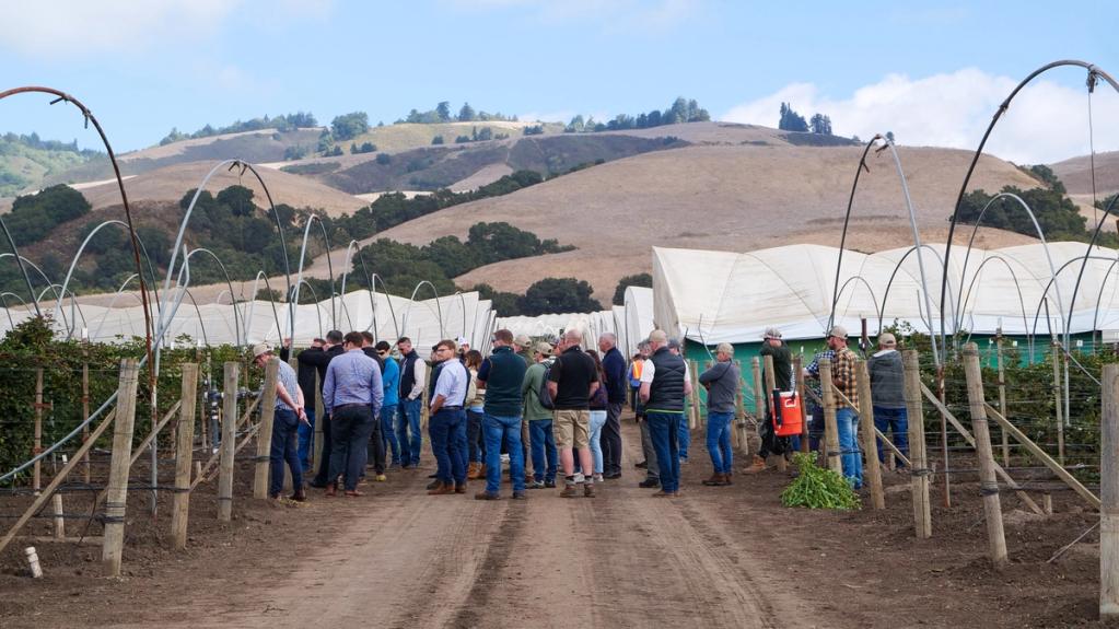 VegMech 2026: Accelerating Vegetable Robotics from Insight to Impact