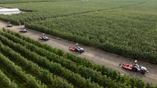A Shift in the Fields: Labor Shortages Push Global Growers Toward Automation