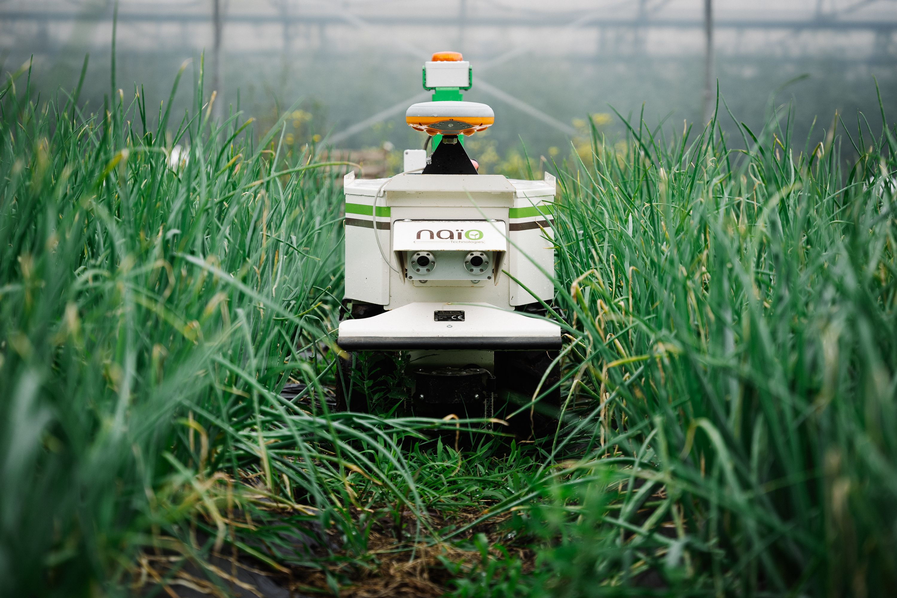 The Next Frontier of Weeding Robots | GOFAR