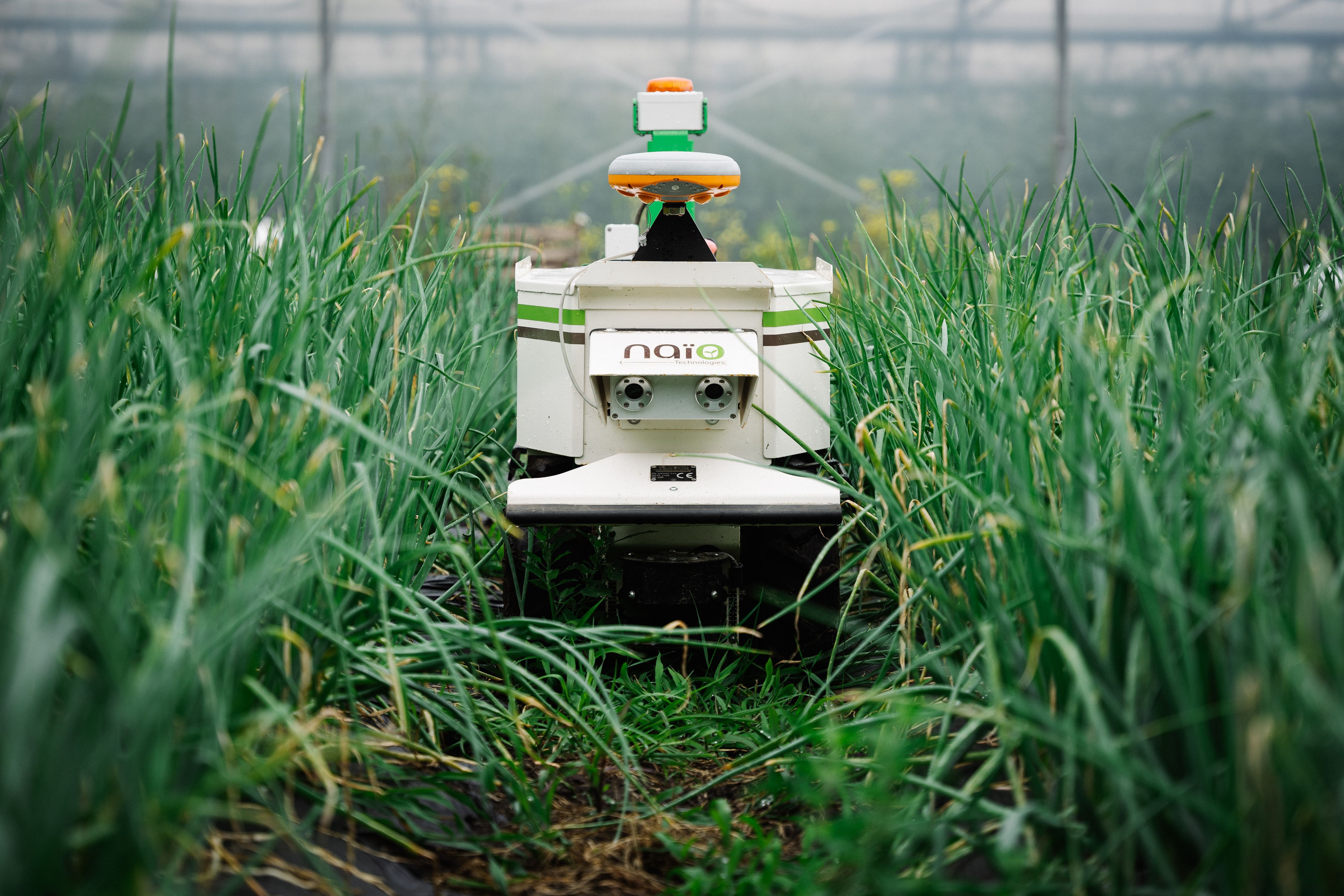 The Next Frontier of Weeding Robots | GOFAR