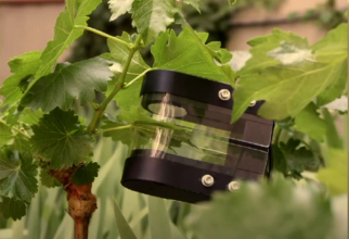 Contactless ultrasonic sensors: a tool to determine plant water status