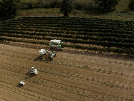 Pioneering the Future of Farming