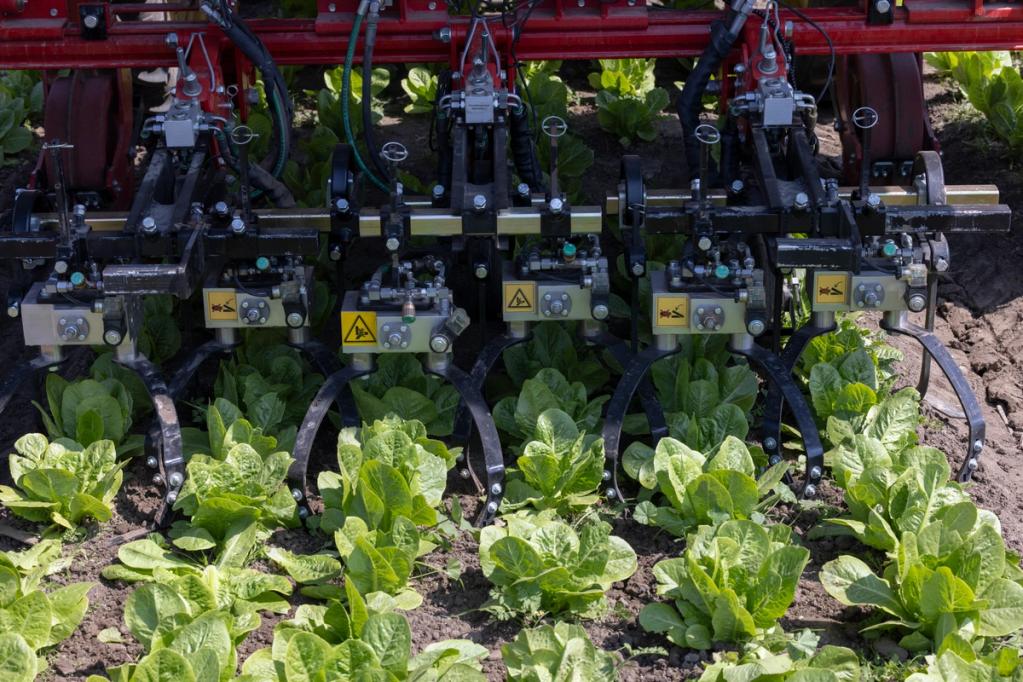 Weeding Robots and Electric Weed Control Solutions for Vegetable Growers