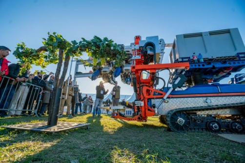 Slopehelper Grapepicker