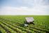 Aigen’s Solar-Powered Robot Eliminates Herbicide-Resistant Weeds