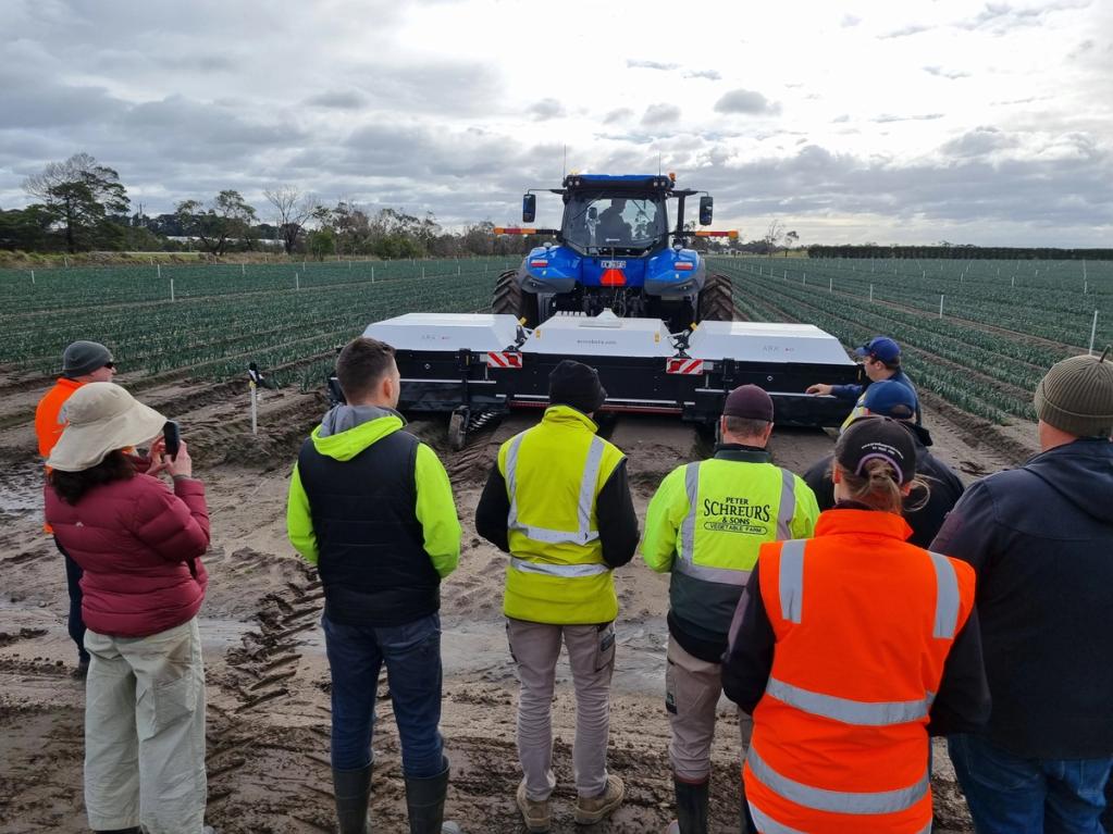 VegMech Mid-Project Update: Advancing Vegetable Mechanisation to Maximise Labour and Cost Efficiency