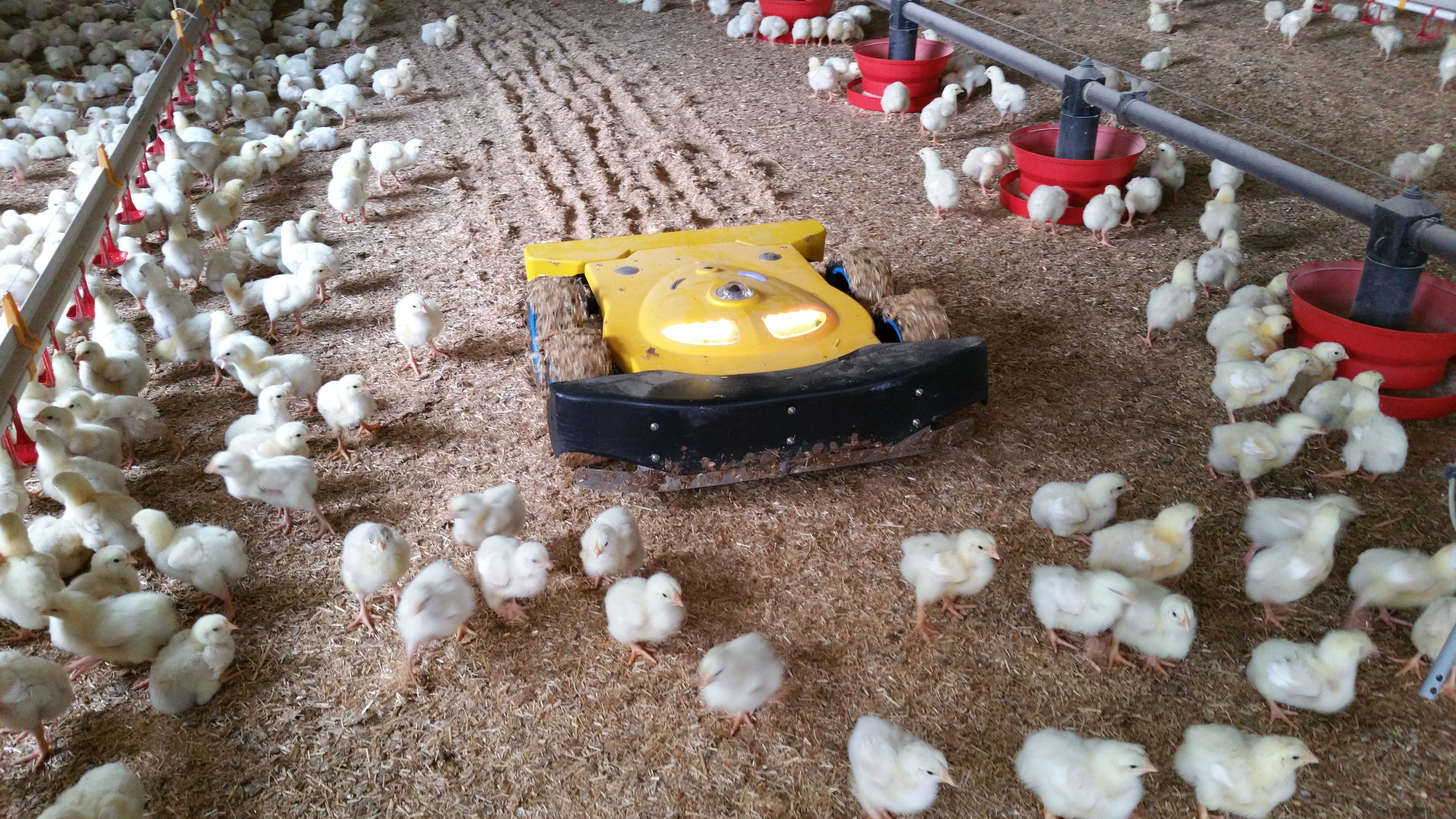 Poultry Robots By TIBOT Technologies | GOFAR