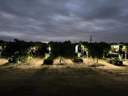 Tortuga “F” and “G” models for strawberry or table grape