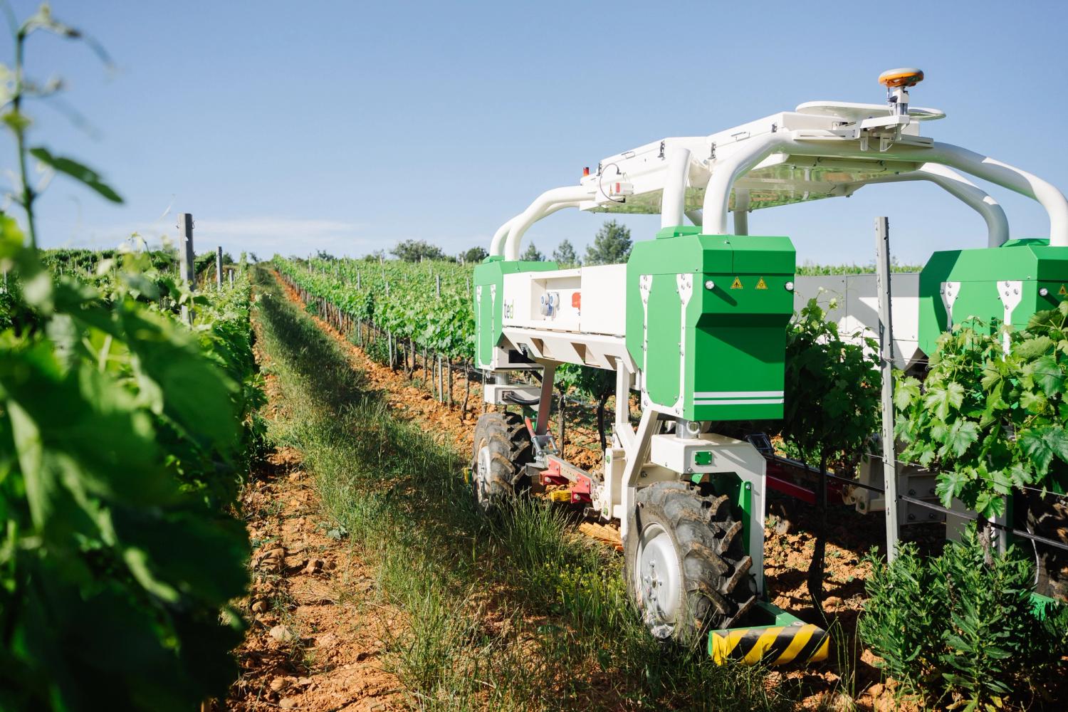 Robot Ted for Vineyards @Naïo Technologies