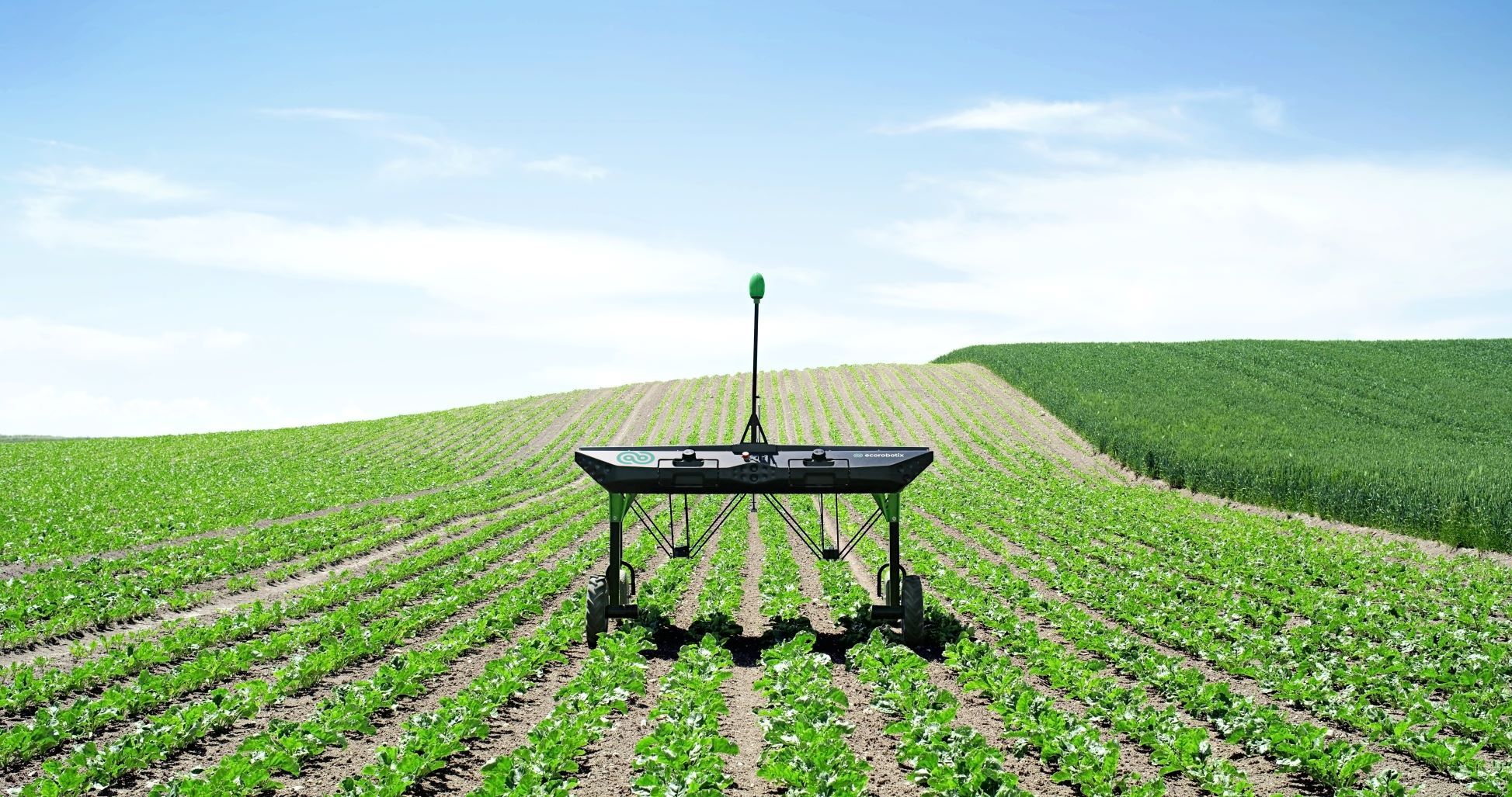 Ecorobotix, High Precision Weeding Robot | GOFAR