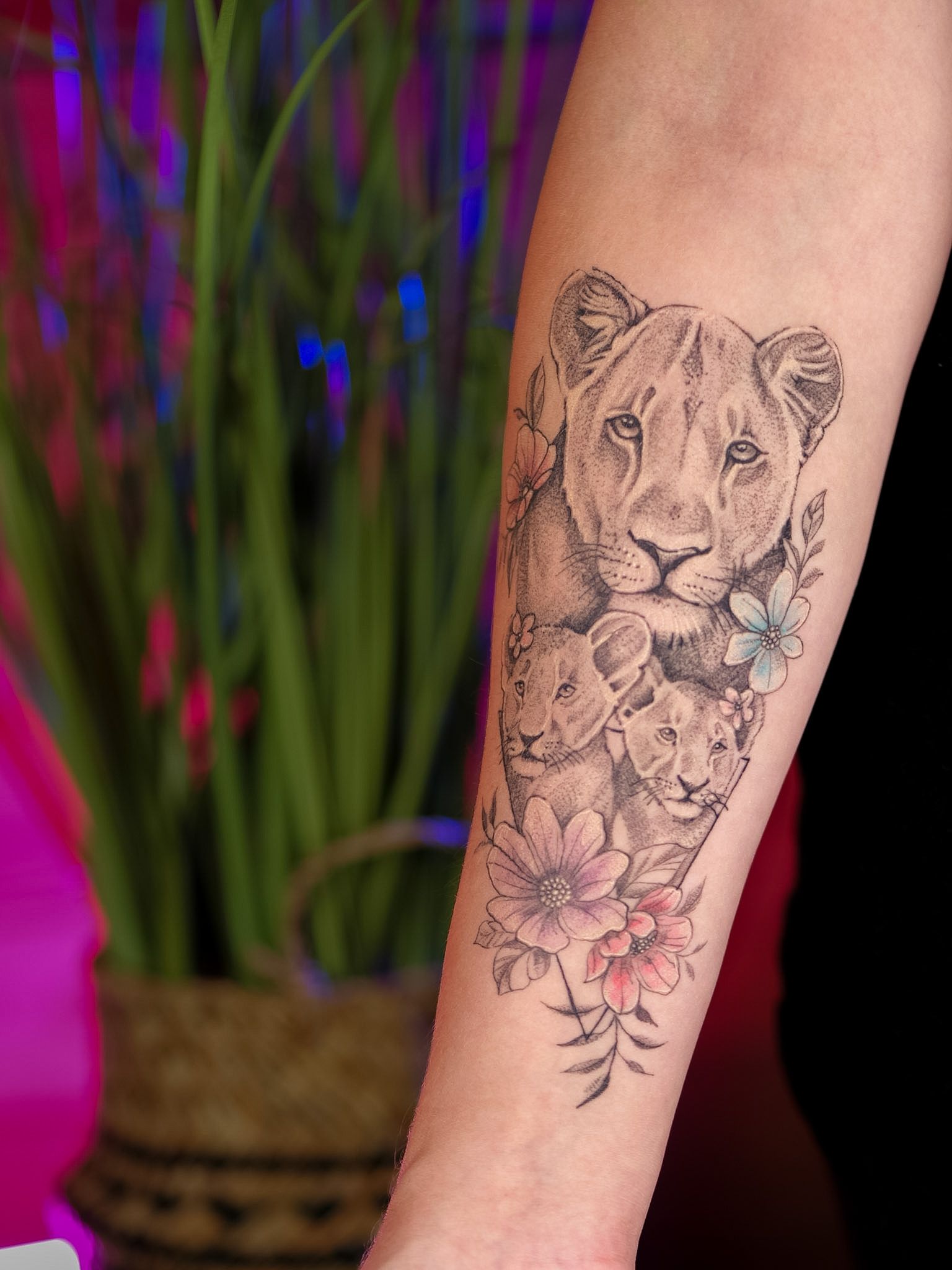 Fine line lioness and cubs forearm tattoo with flowers, by Thomas Palaniuk, Aloha Tattoo Studio Gloucester