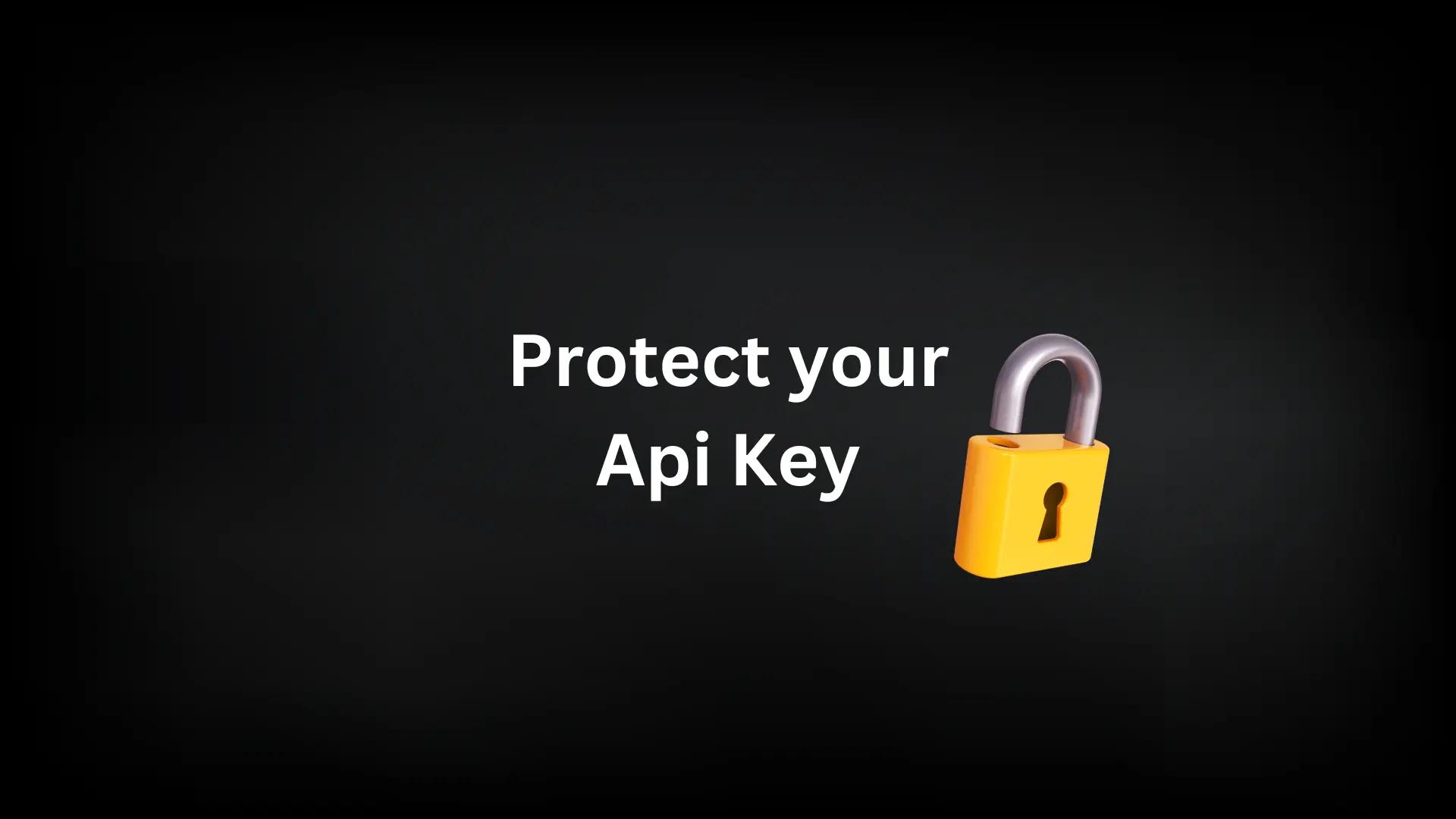 API Key Protection