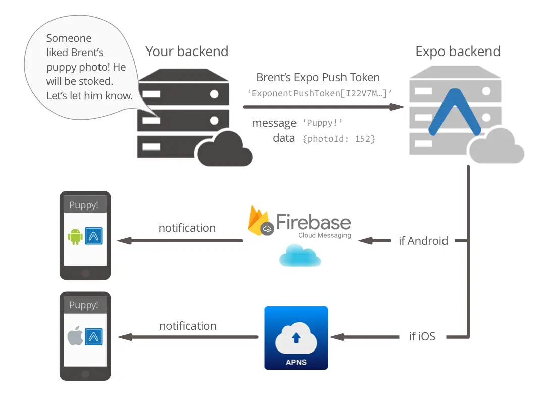 Expo Notifications