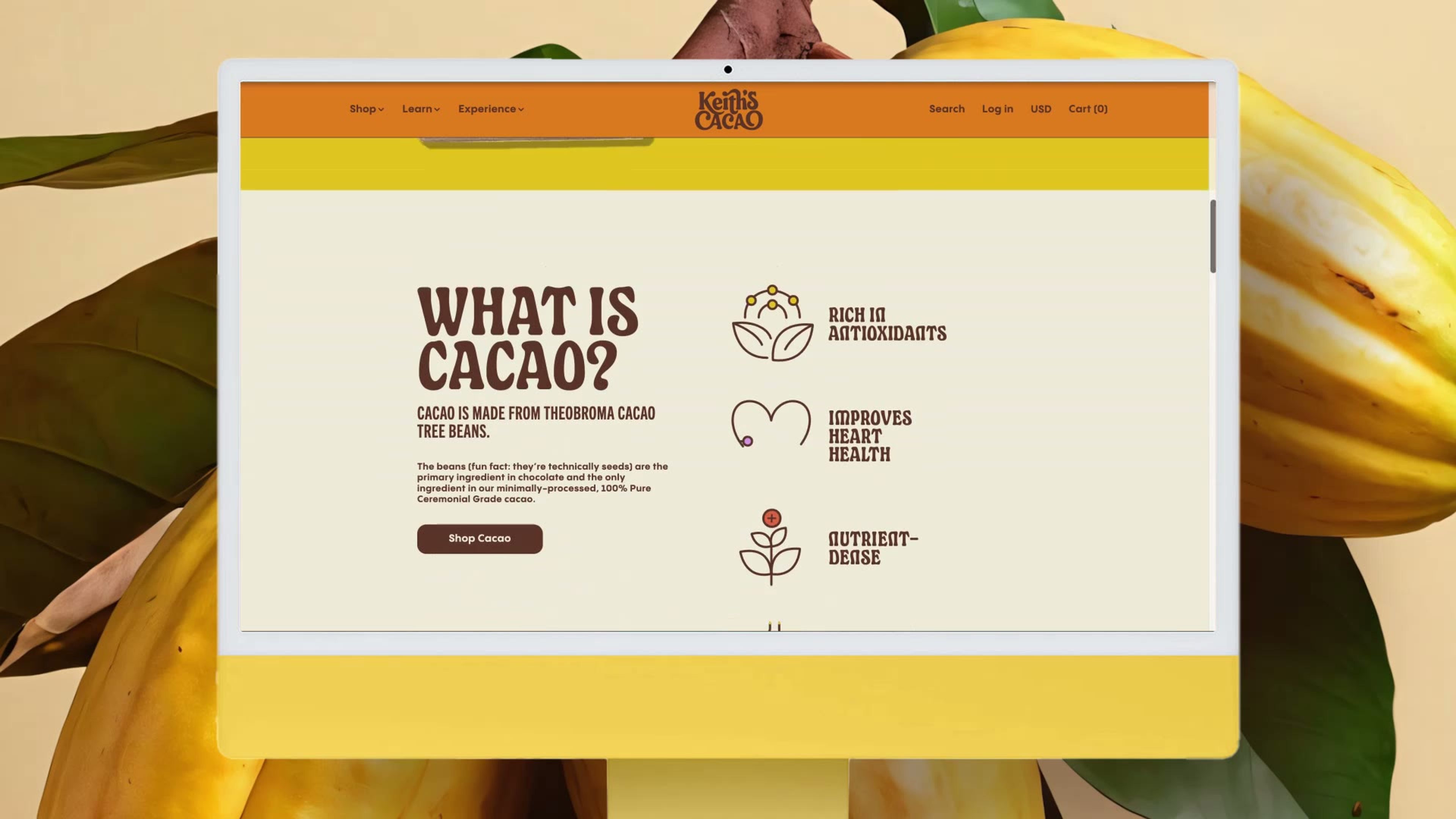 Keith's Cacao — gallery