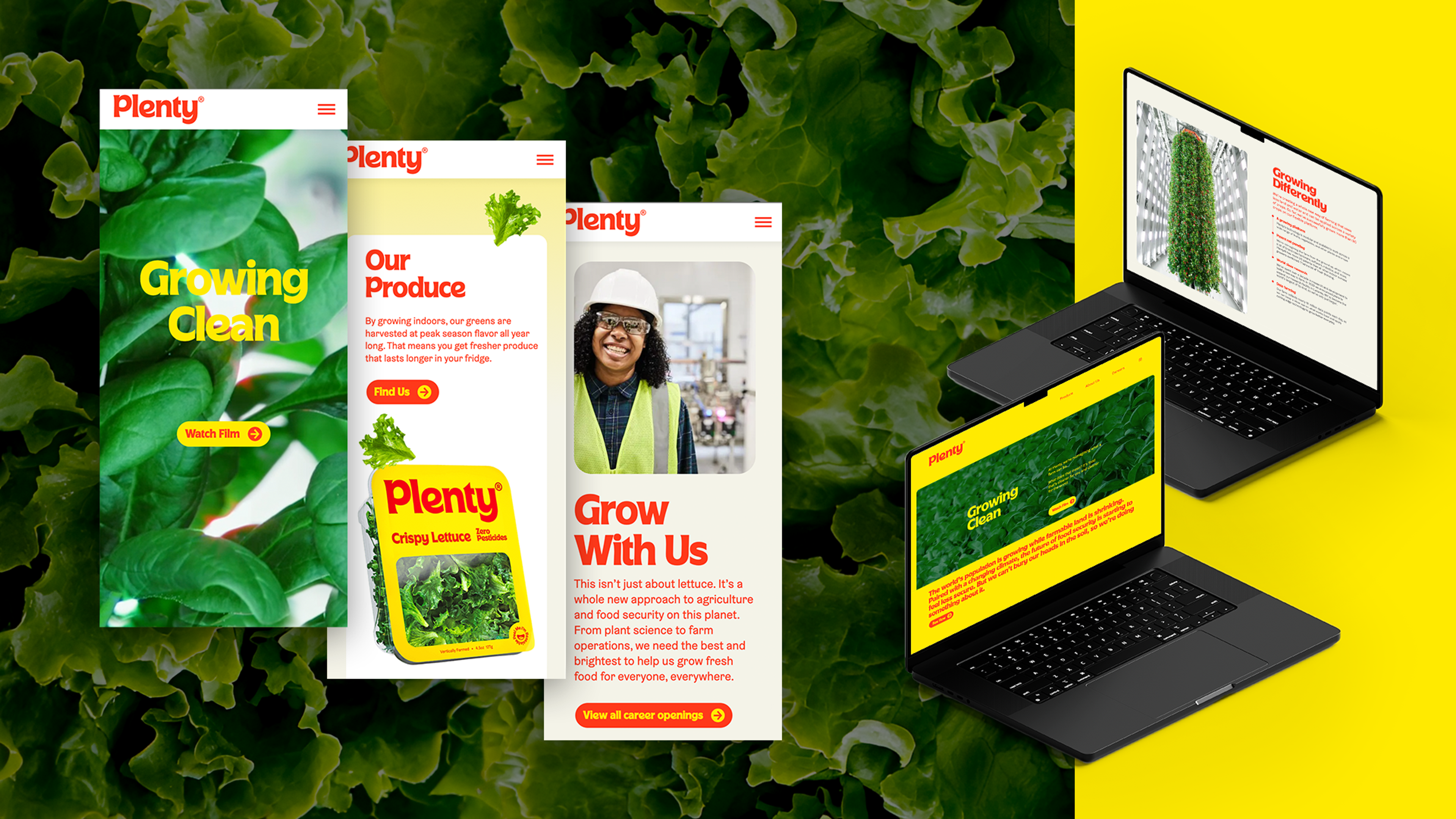 Plenty — gallery