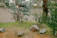 Stewart Architecture