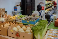 Stewart Architecture