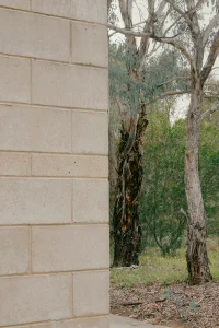 Stewart Architecture