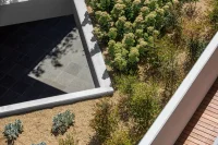 Stewart Architecture