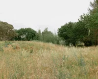 Stewart Architecture