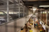 Stewart Architecture