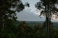 Stewart Architecture