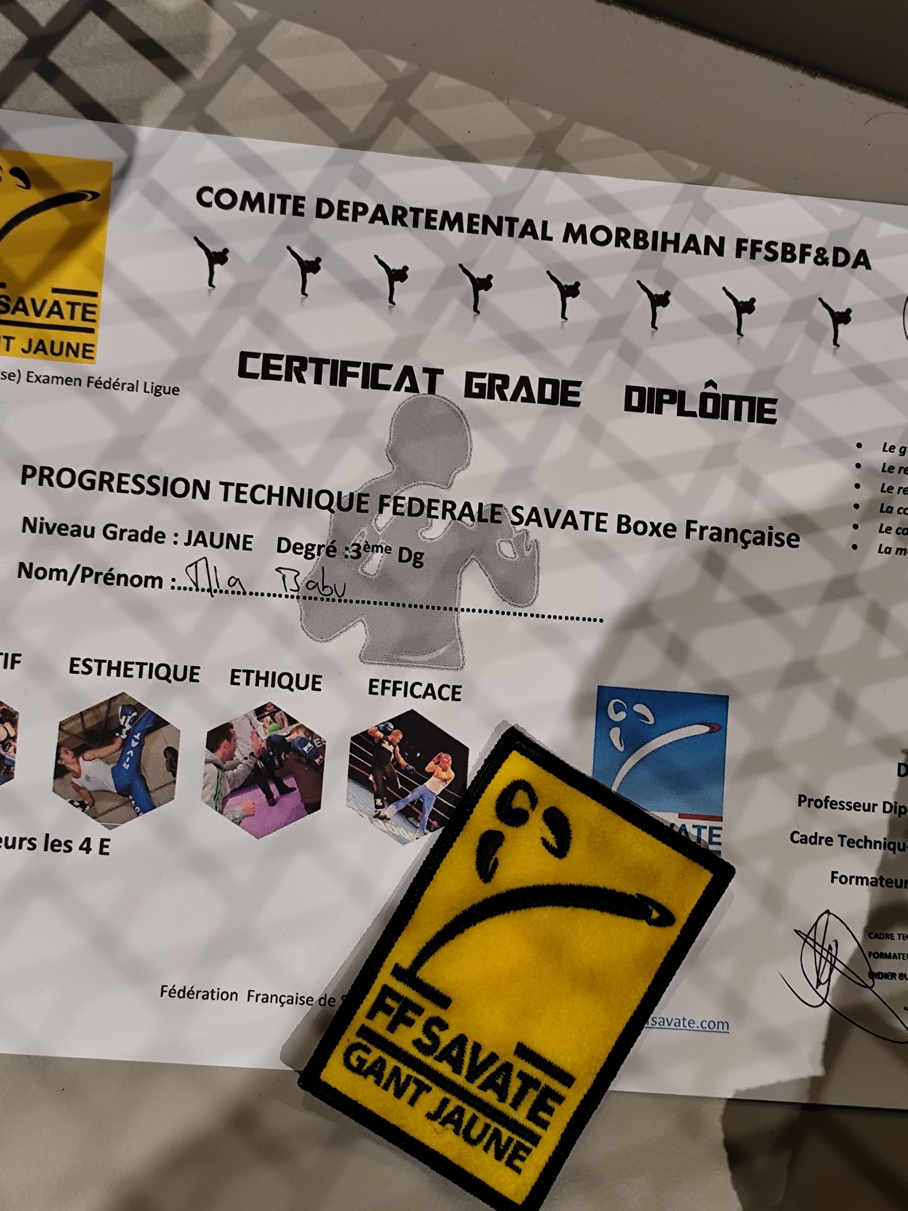 ÉCUSSON GANT JAUNE SAVATE BOXE FRANÇAISE