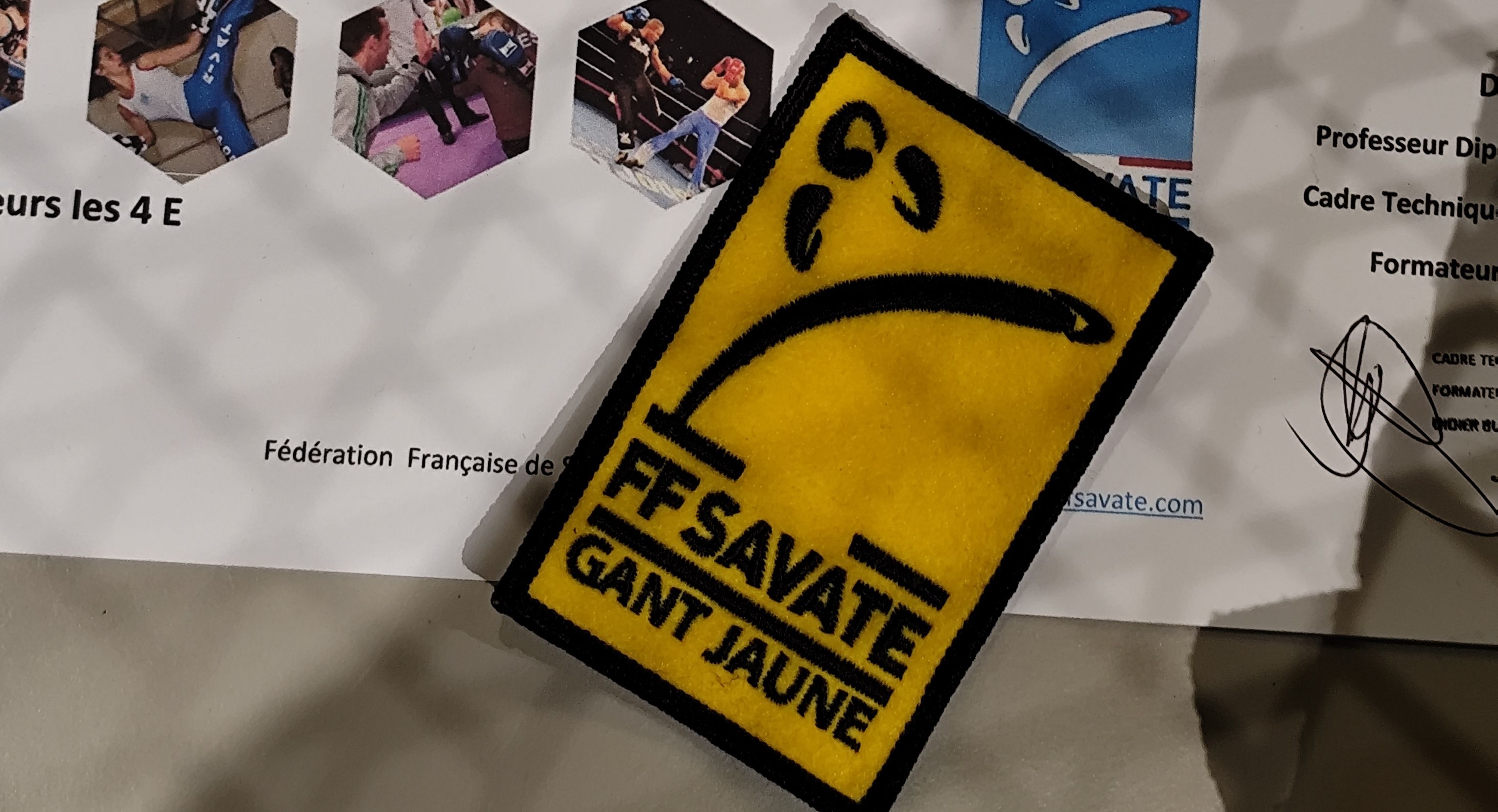 ÉCUSSON GANT JAUNE SAVATE BOXE FRANÇAISE