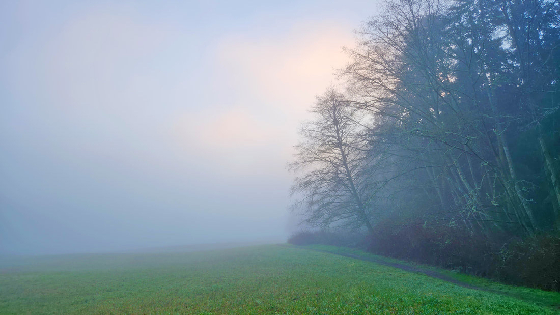 A foggy field with a faint path stretching forward, symbolizing reflection and the gradual process of finding meaning in life.