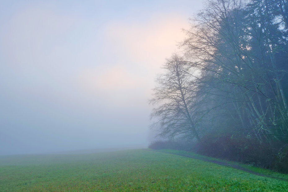 A foggy field with a faint path stretching forward, symbolizing reflection and the gradual process of finding meaning in life.