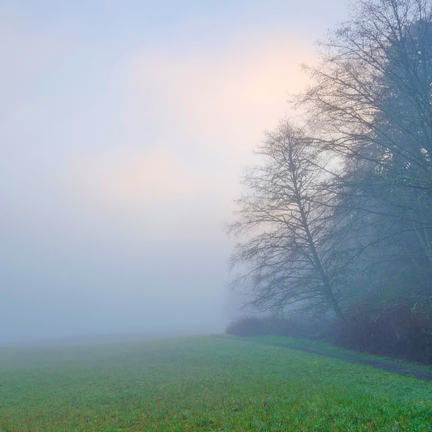 A foggy field with a faint path stretching forward, symbolizing reflection and the gradual process of finding meaning in life.