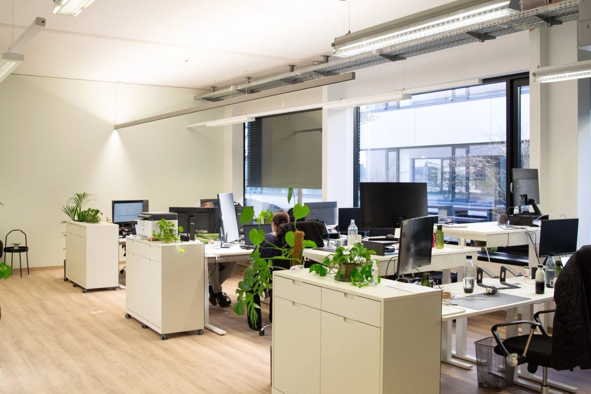 Open-plan office with desks, monitors and plants