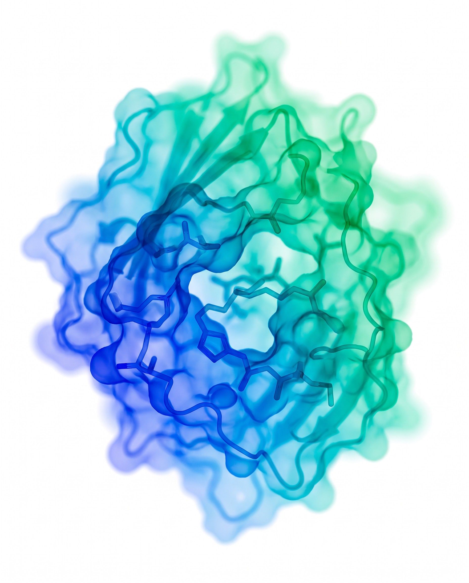 3D render of an enzyme's protein structure in blue and green