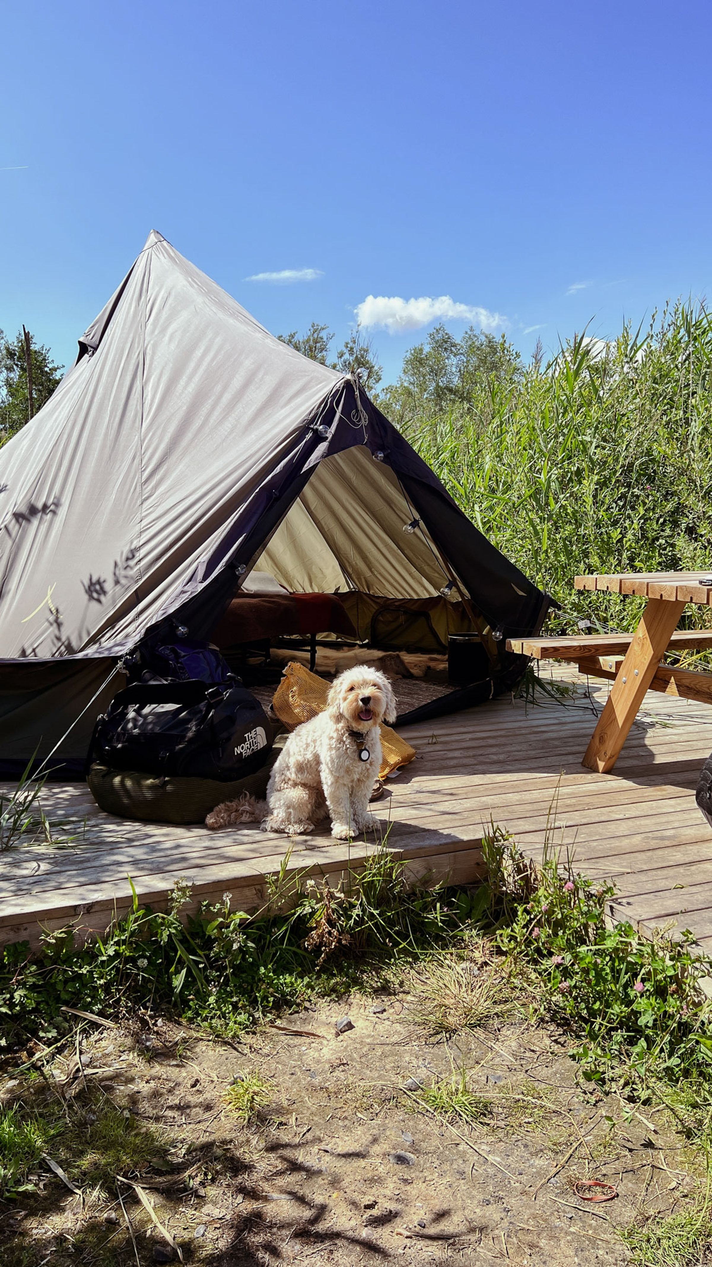 Glamping