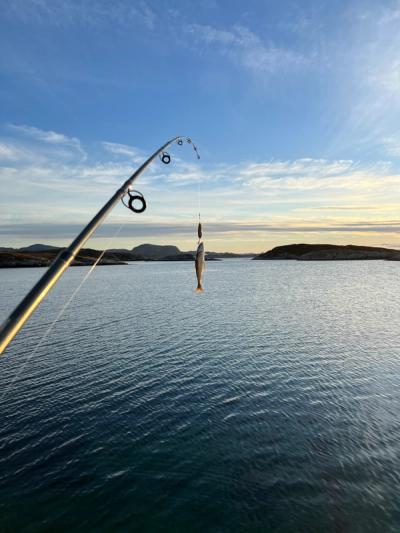 Fiske i skjærgården