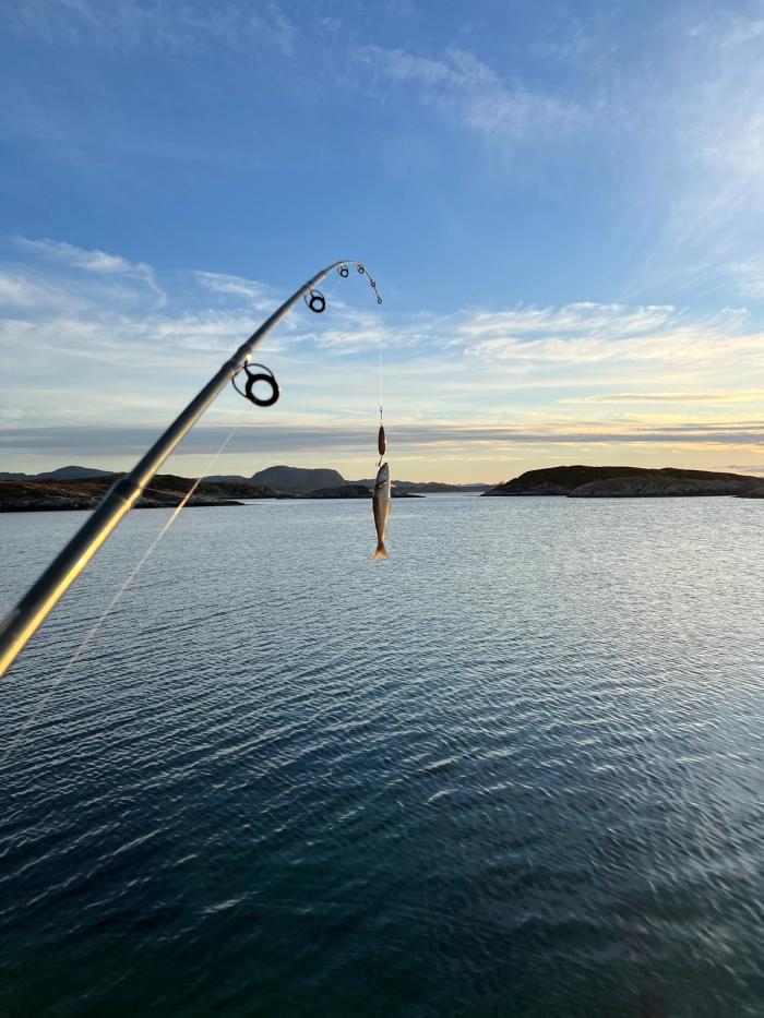 Fiske i skjærgården