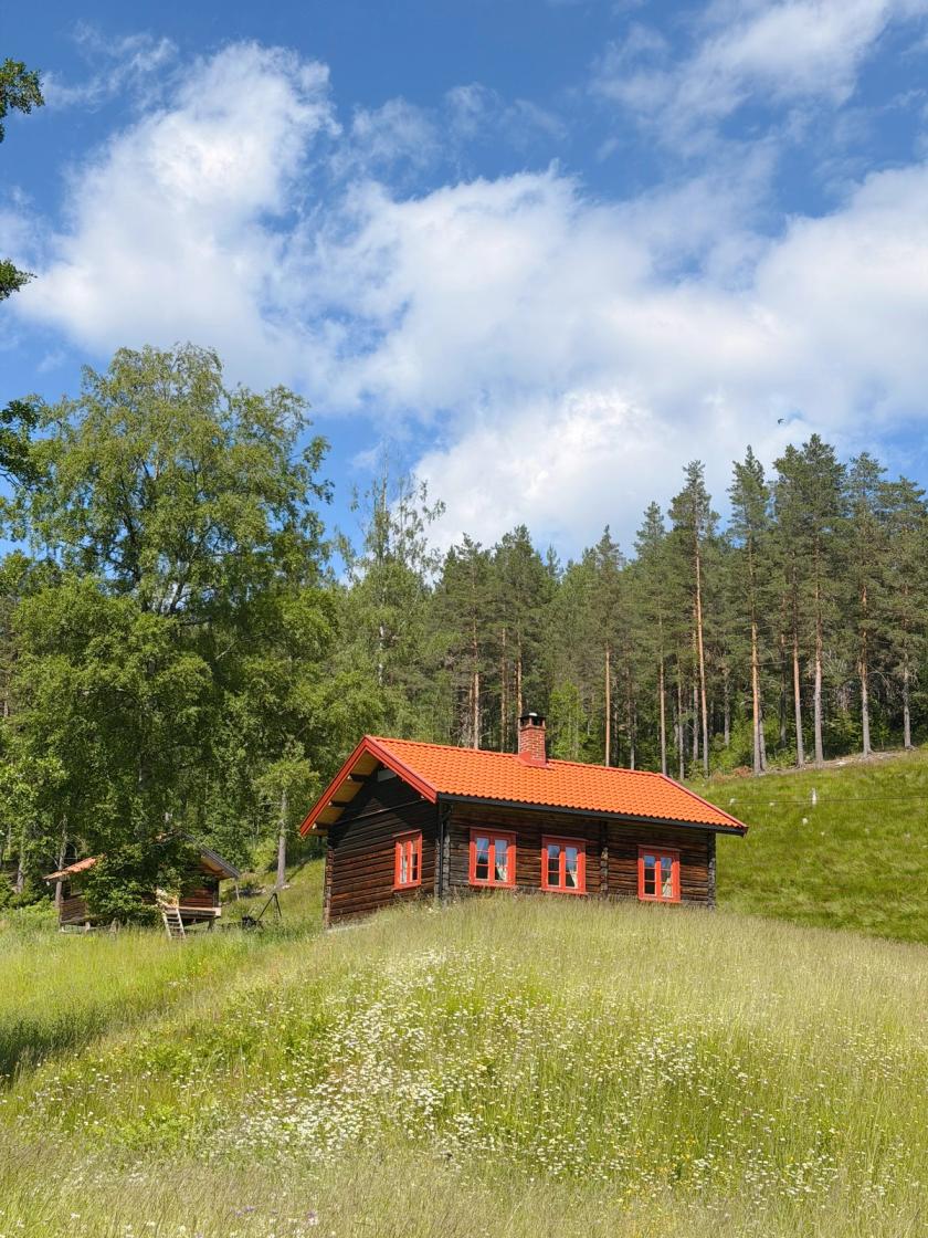 Det vi älskade allra mest