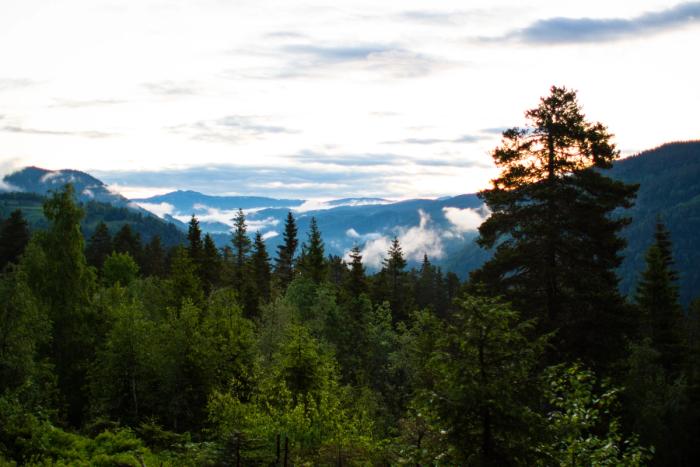 The landscape around Dalen