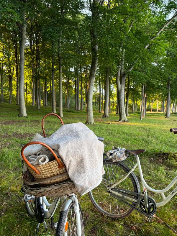 Lån cyklerne og tag på opdagelse