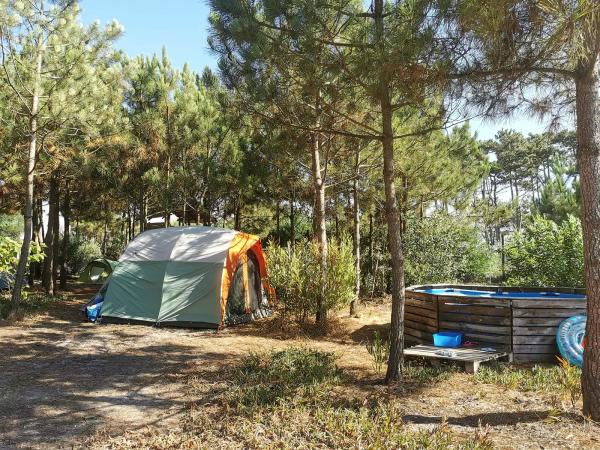 Et telt på en liten campingplass i en skog med basseng