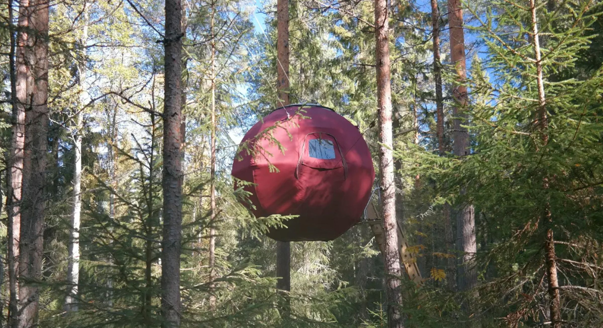 övernatta i en stor röd måne mitt bland trädtopparna i Furudal, Dalarna