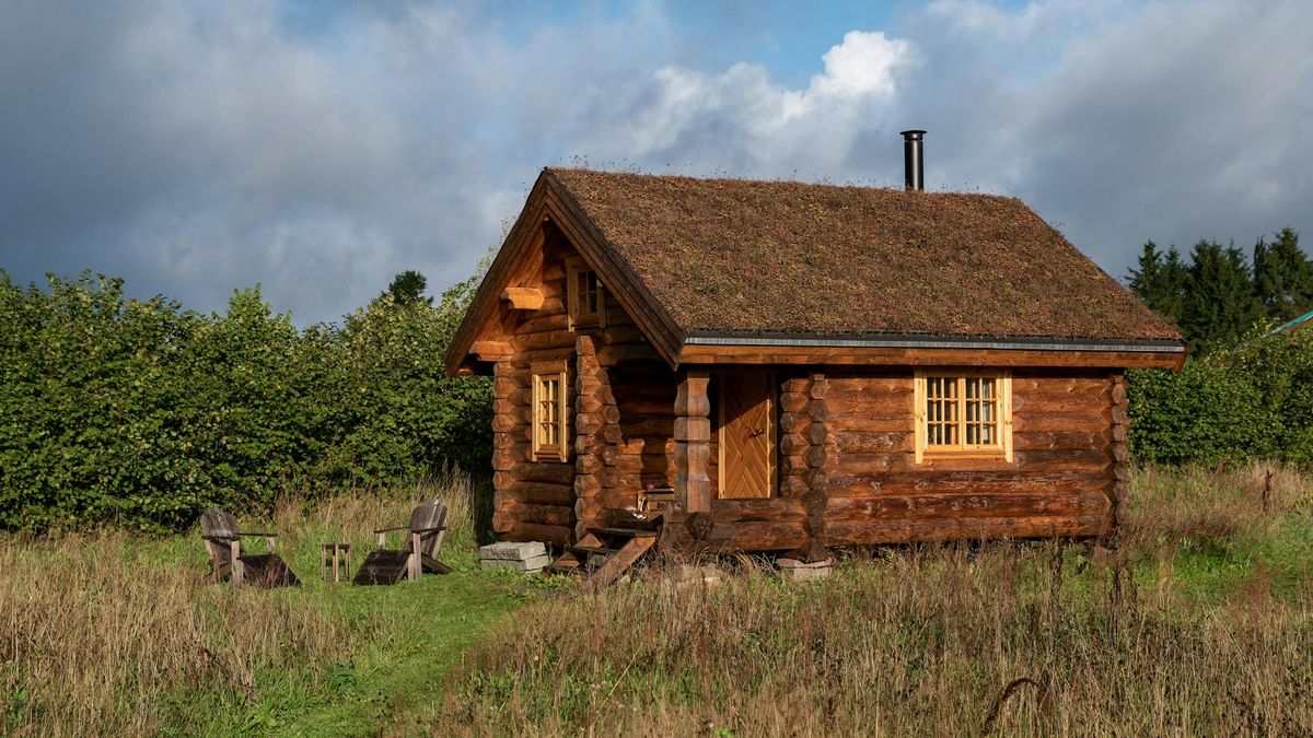 En in L Bonfire Stories Sauna Getowayys Where You Can Enjoy A Sauna - nature experience