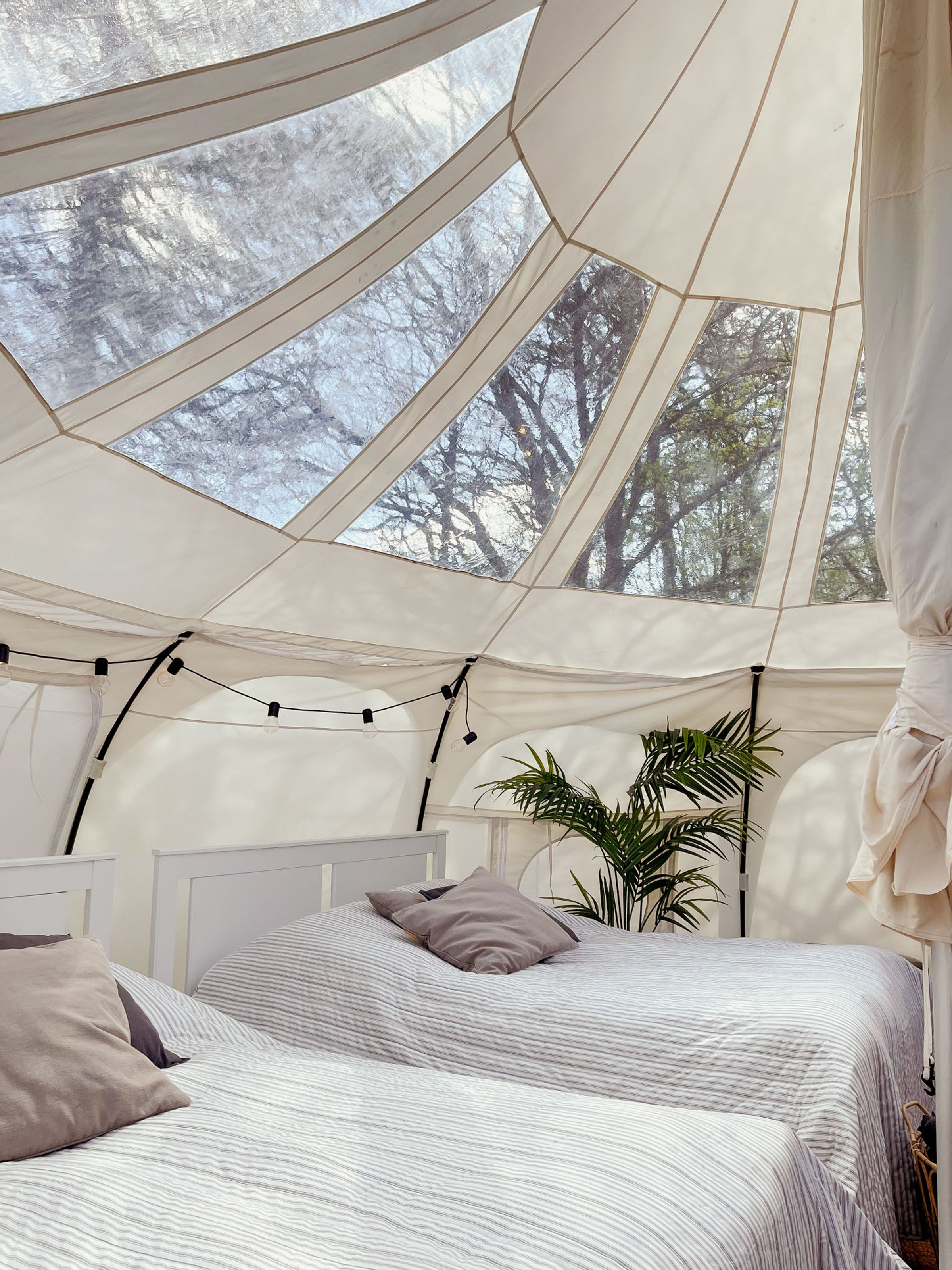 Romantisk glamping ophold med lys dobbeltseng og lyskæde i telt midt i naturen