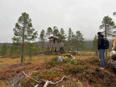 Tretopphytten i Rindal