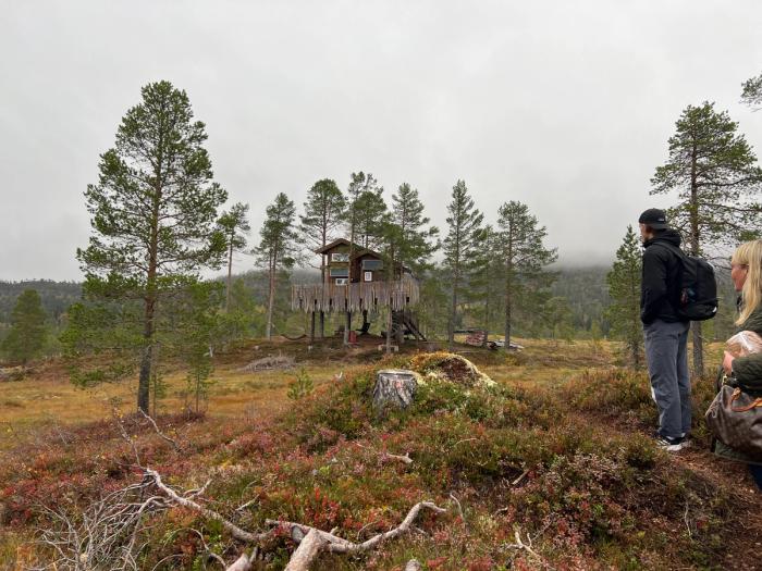 Tretopphytten i Rindal