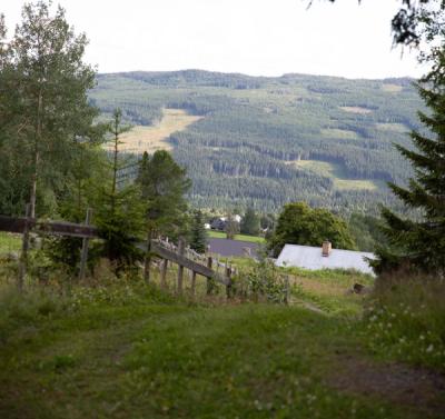 Tur gjennom skogen