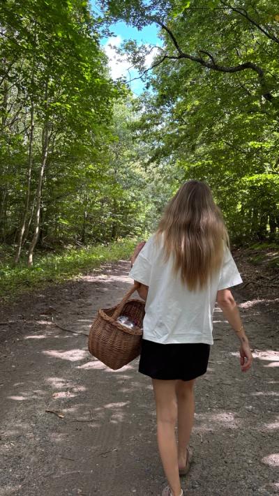 Promenad i skogen